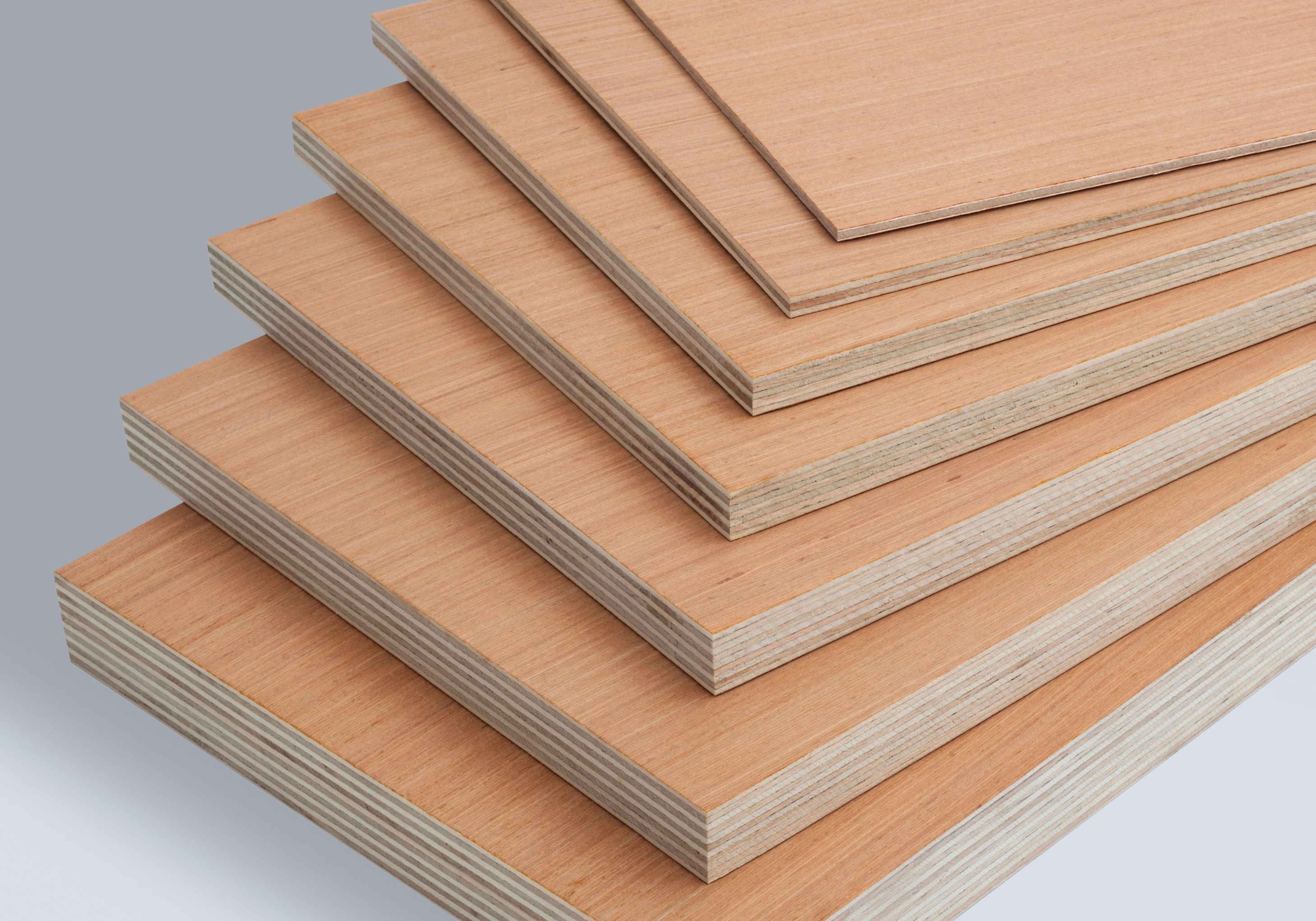 Streply Temperate Hardwood Plywood - Main Image