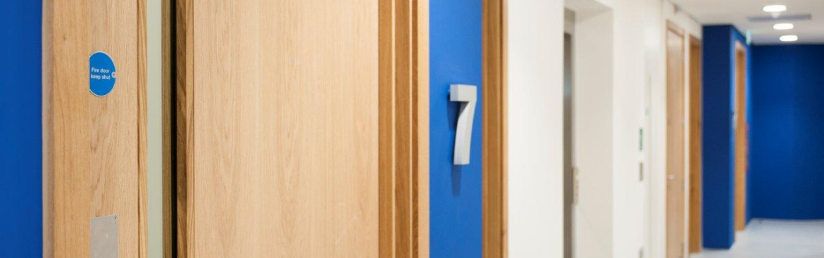 Door Blanks - Main Image